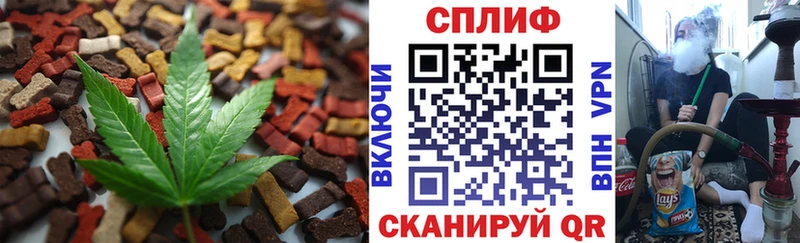 Cannafood конопля  omg онион  Камышлов 