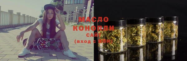 Альфа ПВП Инсар
