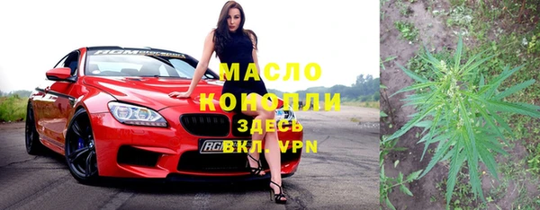 Альфа ПВП Инсар