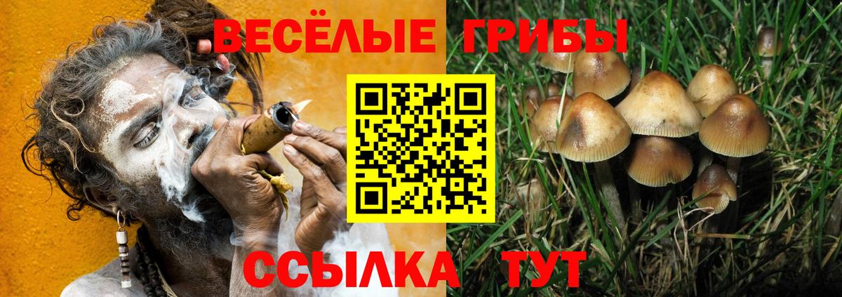 Галлюциногенные грибы мухоморы Камышлов