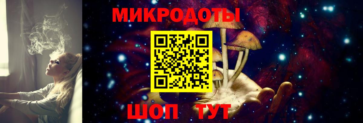 Камышлов  Галлюциногенные грибы Cubensis  Вход с VPN  Псилоцибиновые грибы Magic Shrooms 